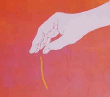 the-straw-that-broke-the-ca1-300x273