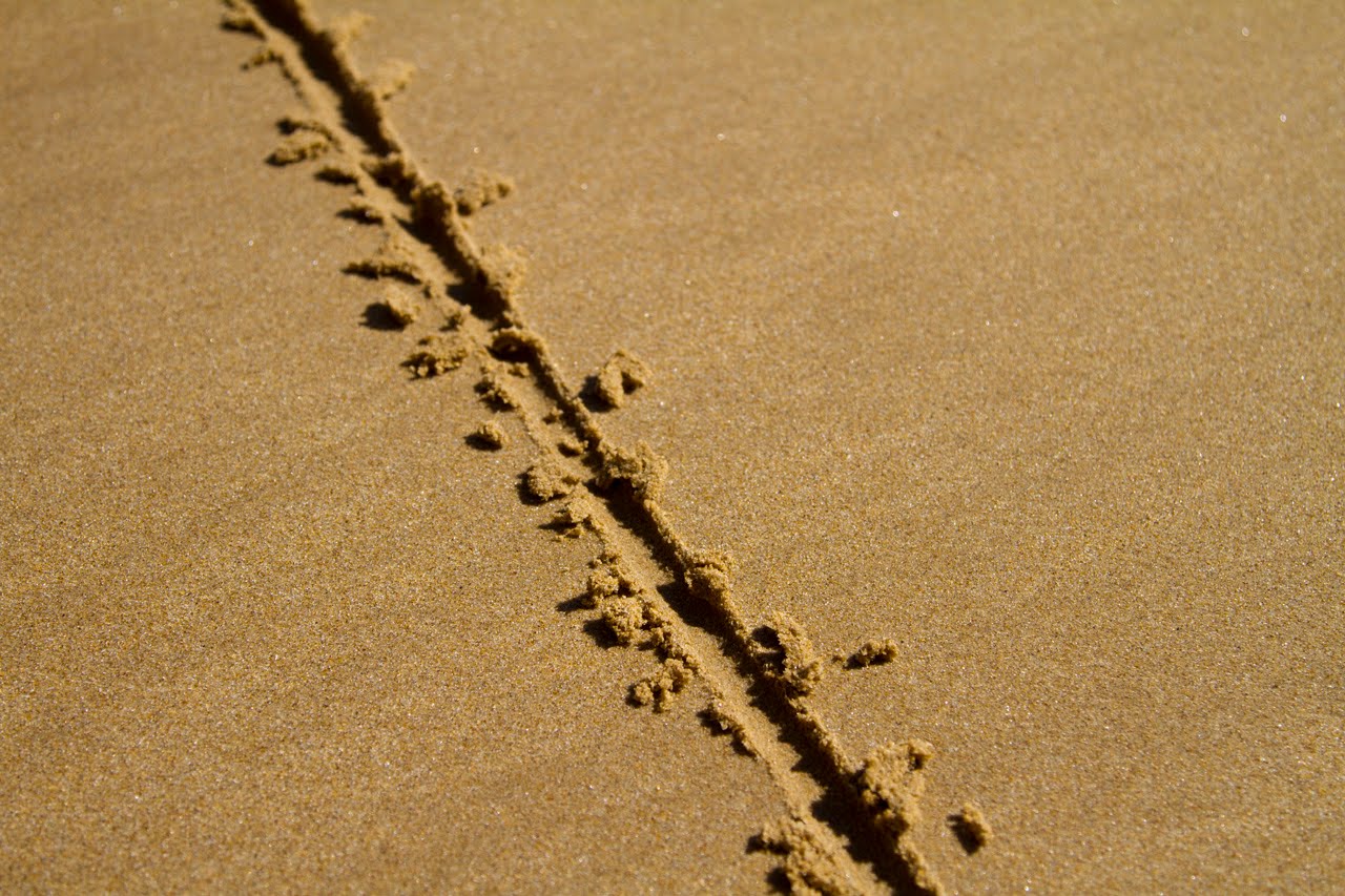 Line in sand