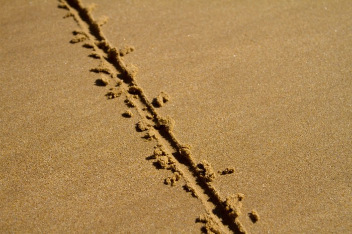 Line in sand