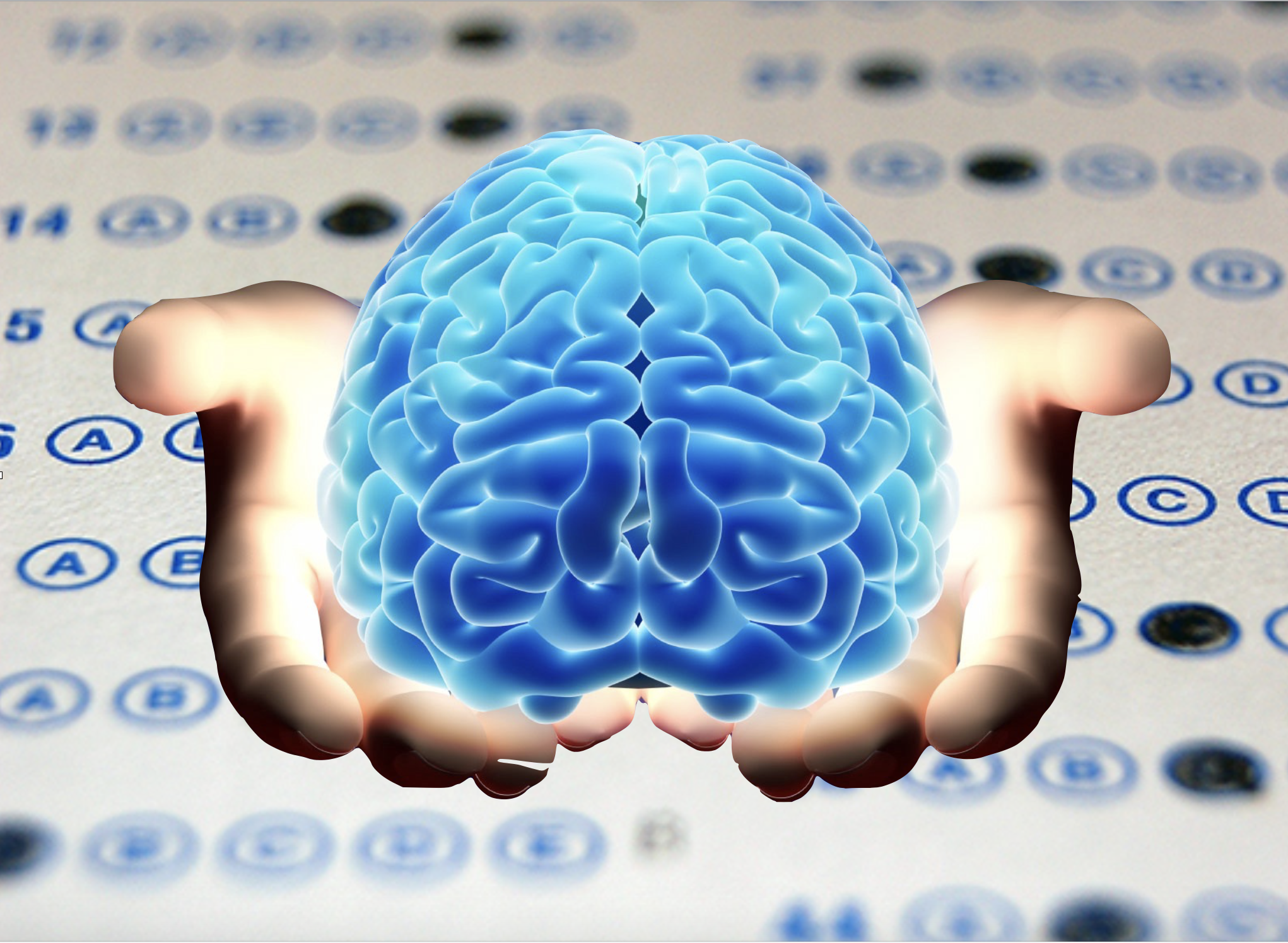 Screen Shot 2019-06-29 at 12.27.12 AM