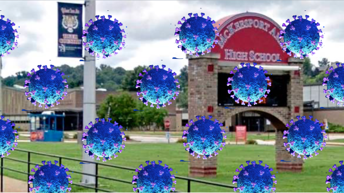 Screen Shot 2020-07-15 at 8.29.25 PM